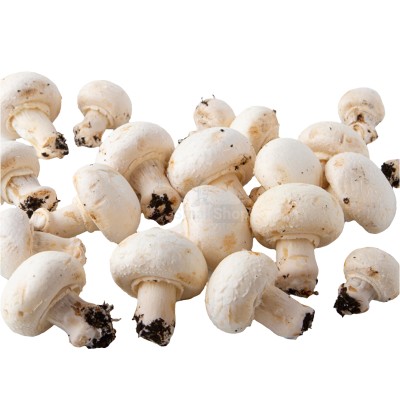 Шампиньоны свежие 500 г - купить в Черновке